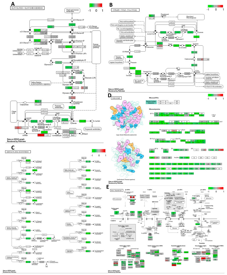 PMC11050262 – ijms-25-04439-f004