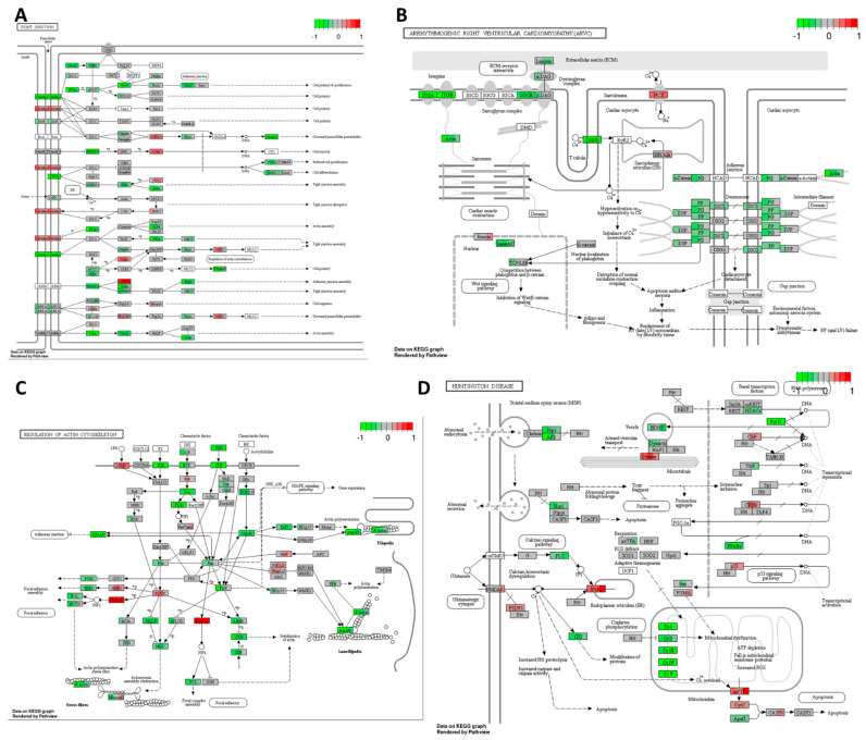 PMC11050262 – ijms-25-04439-f007