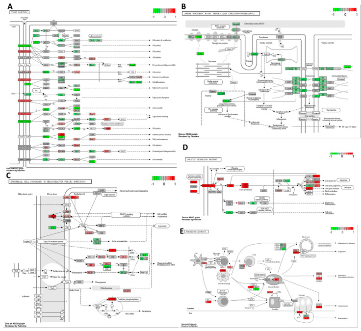 PMC11050262 – ijms-25-04439-f012