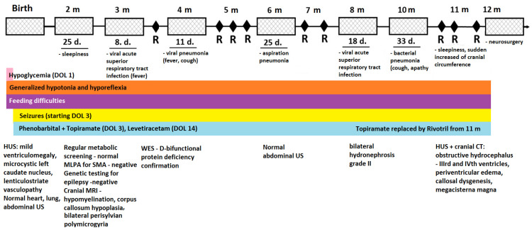 PMC11084724 – ijms-25-04924-f002