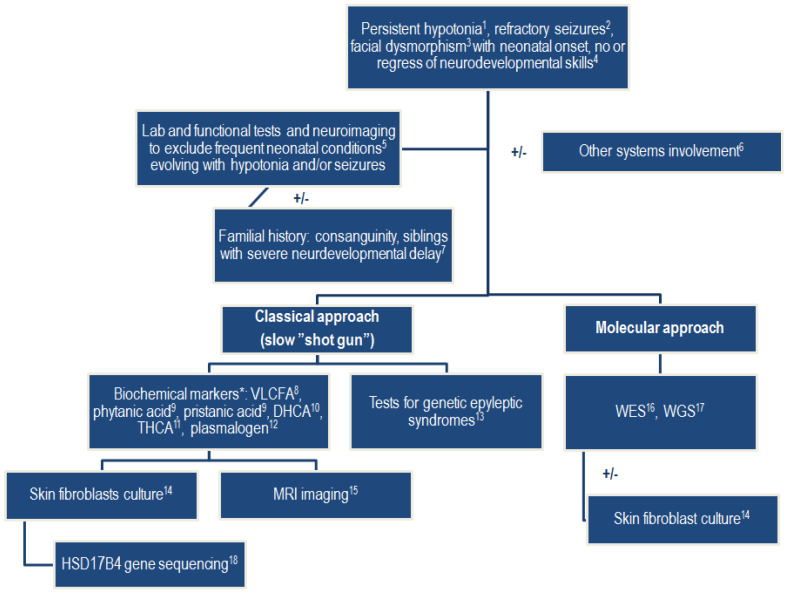 PMC11084724 – ijms-25-04924-f005