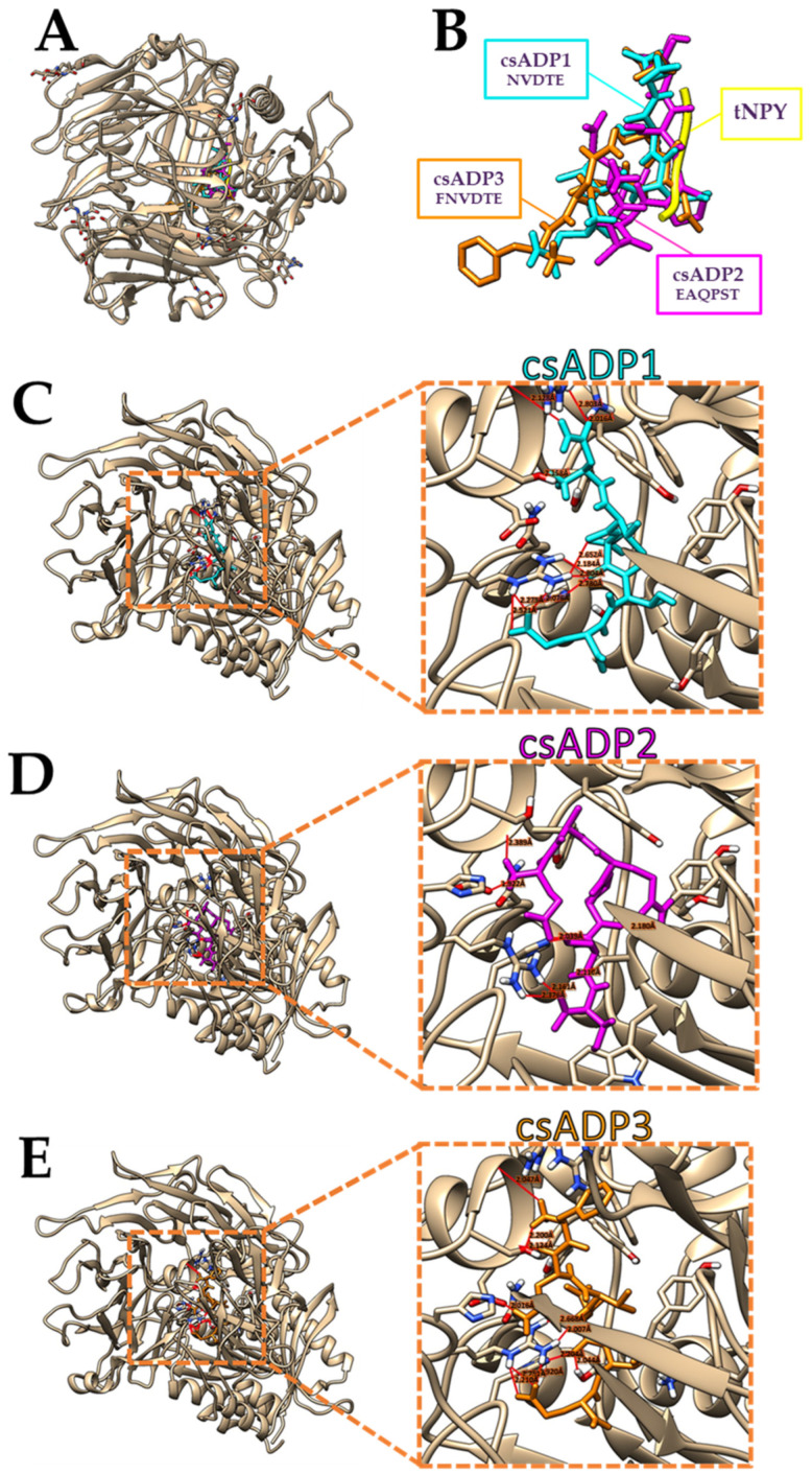 PMC11171819 – ijms-25-05730-f004