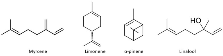 PMC11171823 – ijms-25-05749-f002