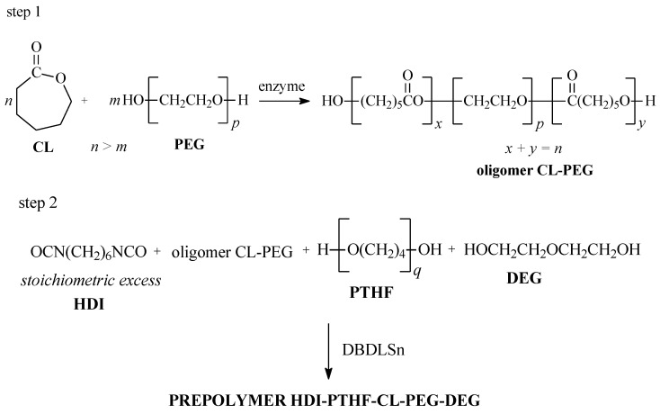 PMC11173307 – ijms-25-05934-f001