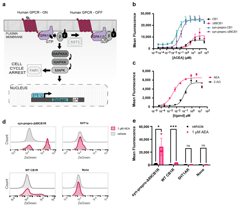 PMC11173002 – ijms-25-06060-f001