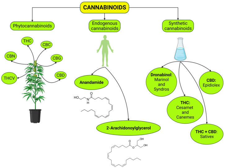 PMC11172912 – ijms-25-06268-f001