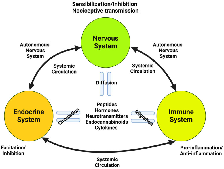 PMC11172912 – ijms-25-06268-f002