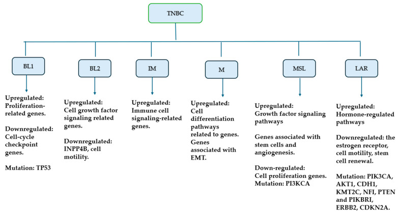 PMC11172743 – ijms-25-06285-f001