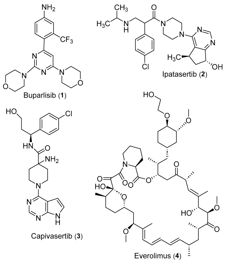 PMC11172743 – ijms-25-06285-f002