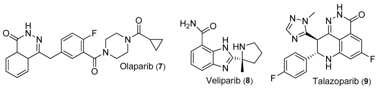 PMC11172743 – ijms-25-06285-f004