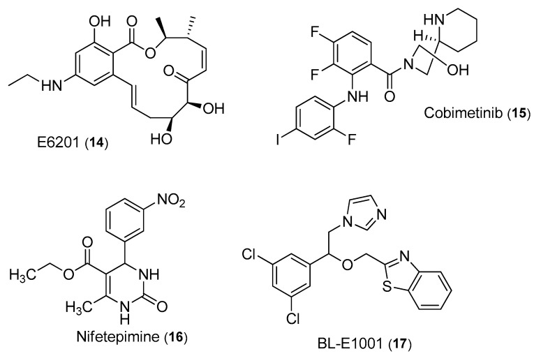 PMC11172743 – ijms-25-06285-f006
