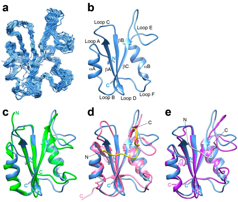 PMC11203457 – ijms-25-06386-f001