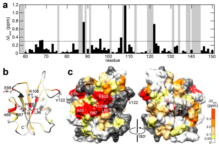 PMC11203457 – ijms-25-06386-f003
