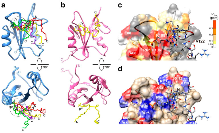 PMC11203457 – ijms-25-06386-f004