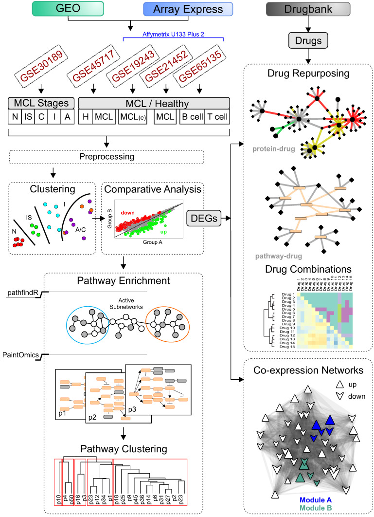 PMC11242097 – ijms-25-07298-f001