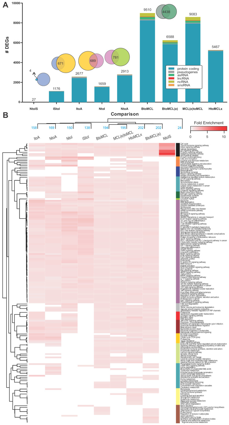 PMC11242097 – ijms-25-07298-f002