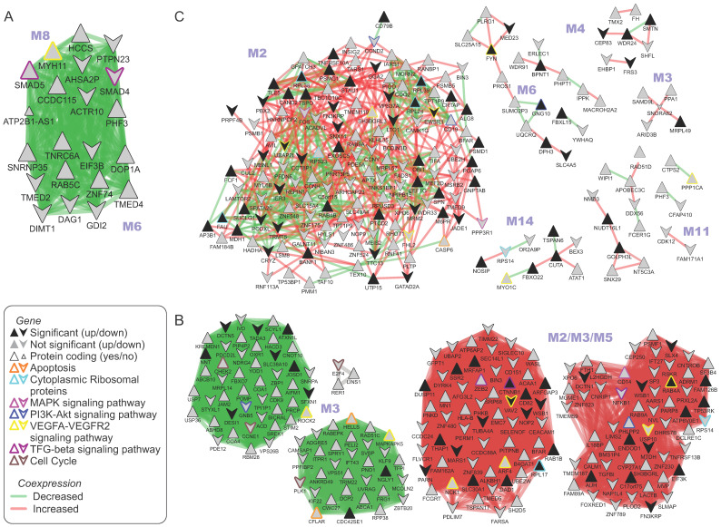 PMC11242097 – ijms-25-07298-f003