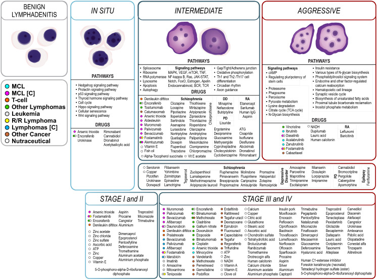 PMC11242097 – ijms-25-07298-f005