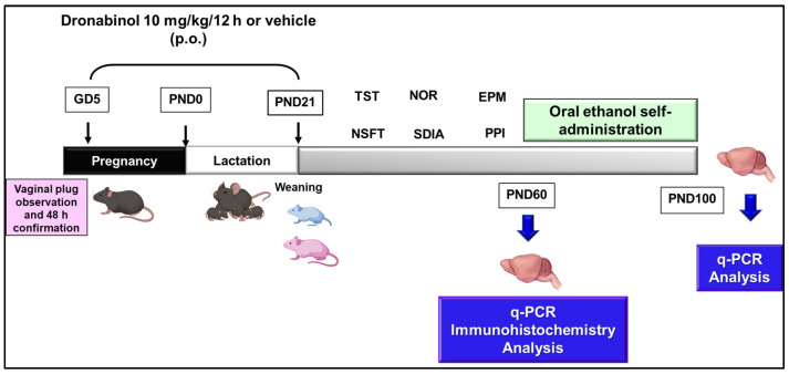 PMC11242182 – ijms-25-07453-f019