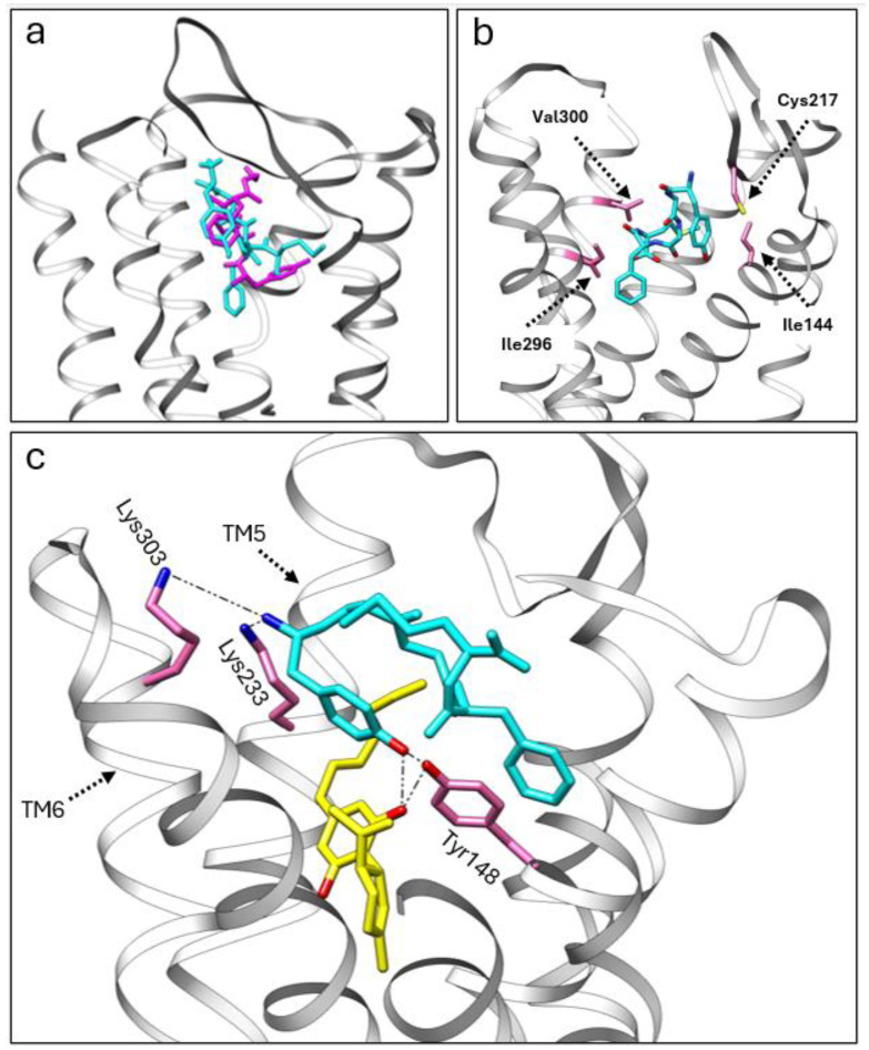 PMC11277192 – ijms-25-07724-f006