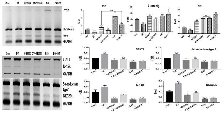 PMC11276847 – ijms-25-07823-f002