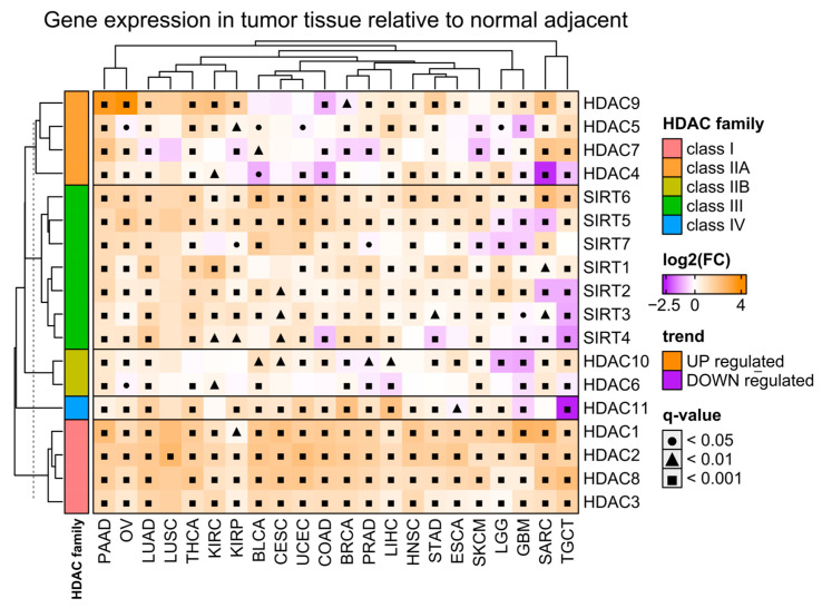 PMC11277355 – ijms-25-07841-f001