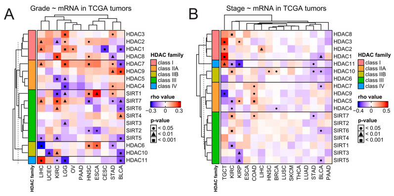 PMC11277355 – ijms-25-07841-f003