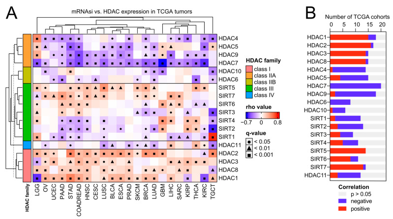 PMC11277355 – ijms-25-07841-f004