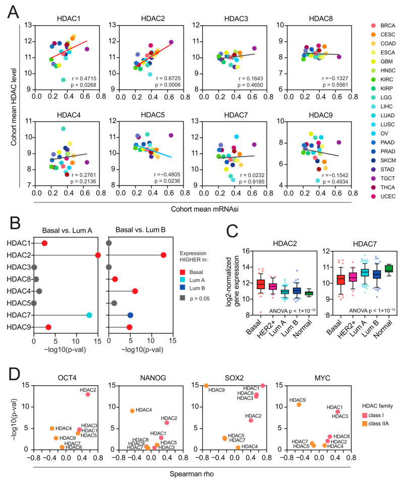 PMC11277355 – ijms-25-07841-f005