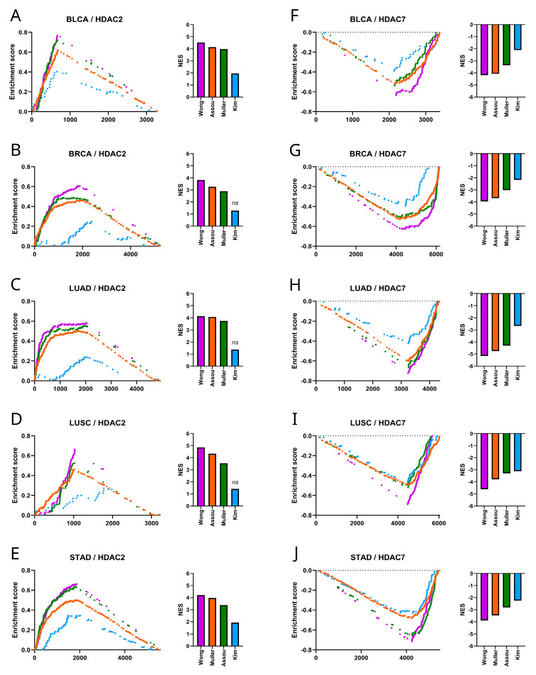 PMC11277355 – ijms-25-07841-f006