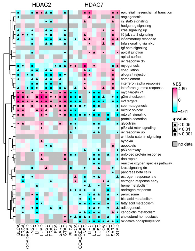 PMC11277355 – ijms-25-07841-f007