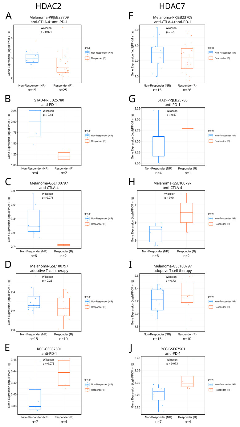 PMC11277355 – ijms-25-07841-f010
