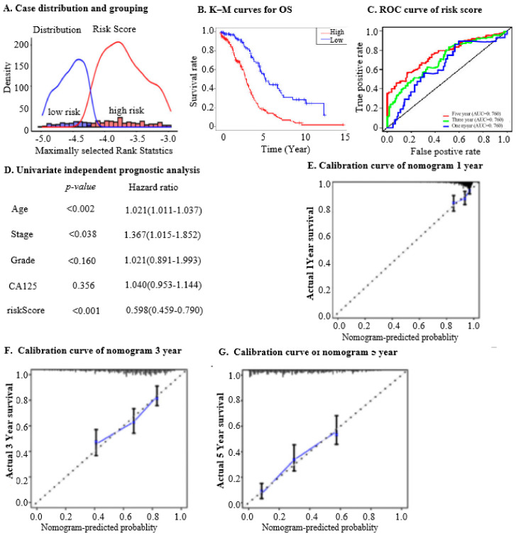 PMC11276689 – ijms-25-07996-f002