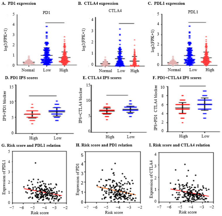 PMC11276689 – ijms-25-07996-f004