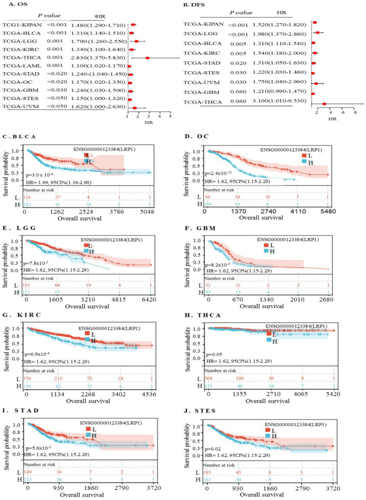 PMC11276689 – ijms-25-07996-f008