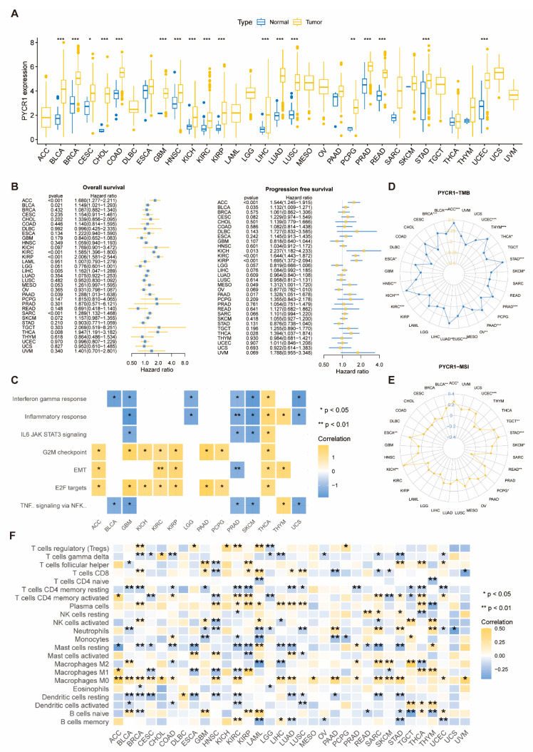 PMC11311831 – ijms-25-08096-f001