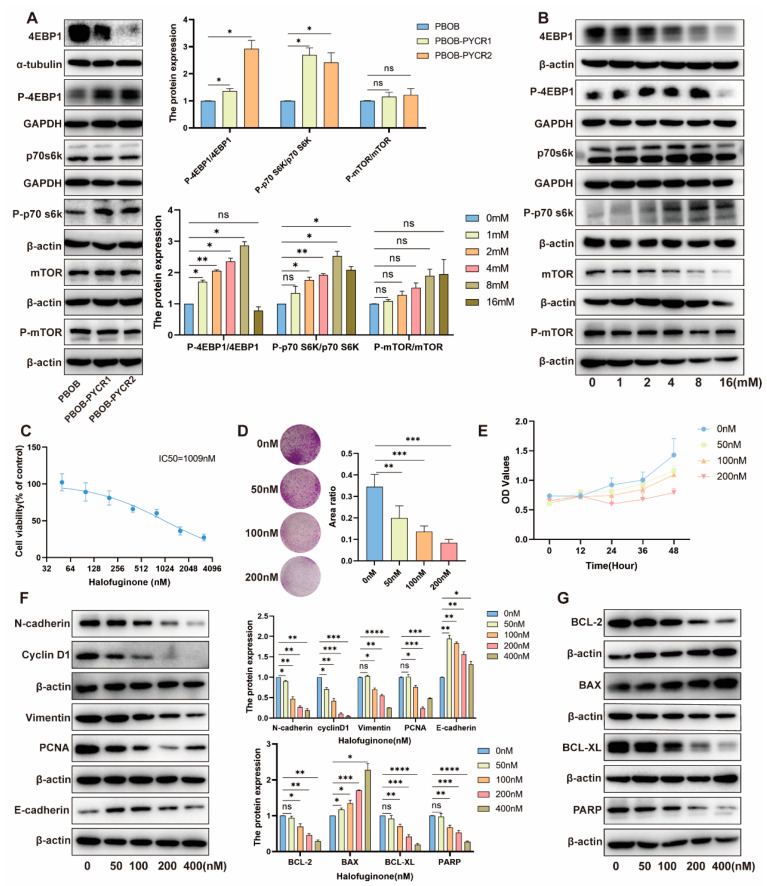 PMC11311831 – ijms-25-08096-f007