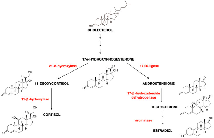 PMC11311417 – ijms-25-08167-f003