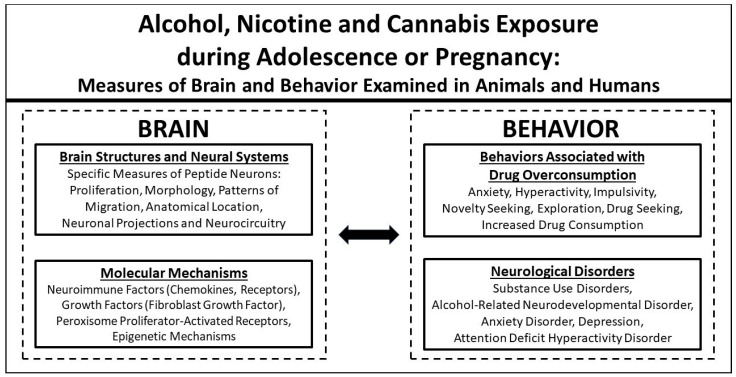 PMC11313660 – ijms-25-08341-f001