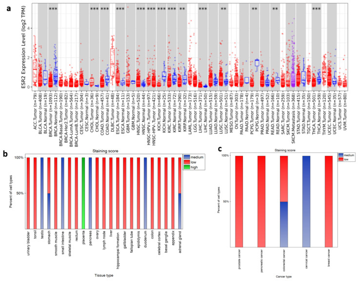 PMC11354723 – ijms-25-08707-f001