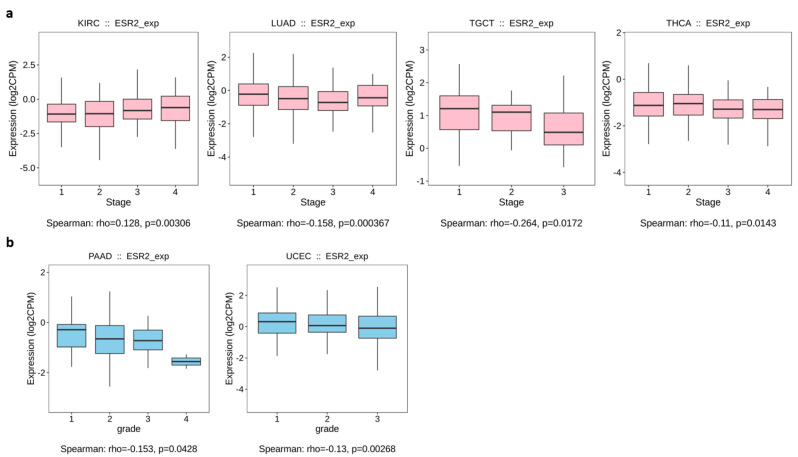 PMC11354723 – ijms-25-08707-f002