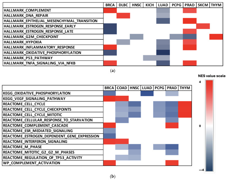 PMC11354723 – ijms-25-08707-f004