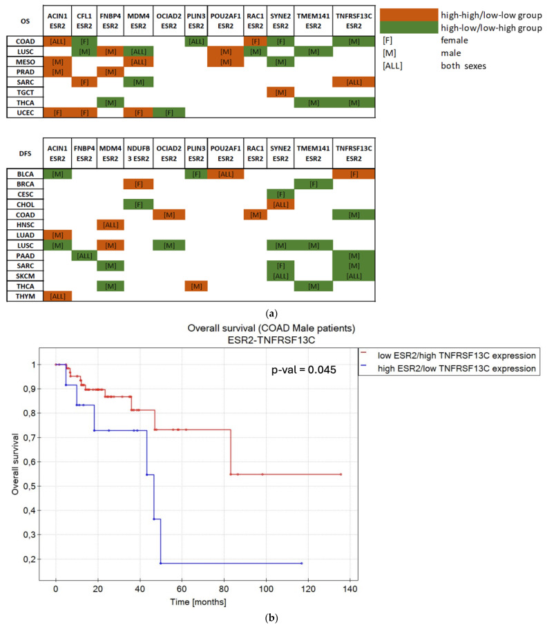 PMC11354723 – ijms-25-08707-f006