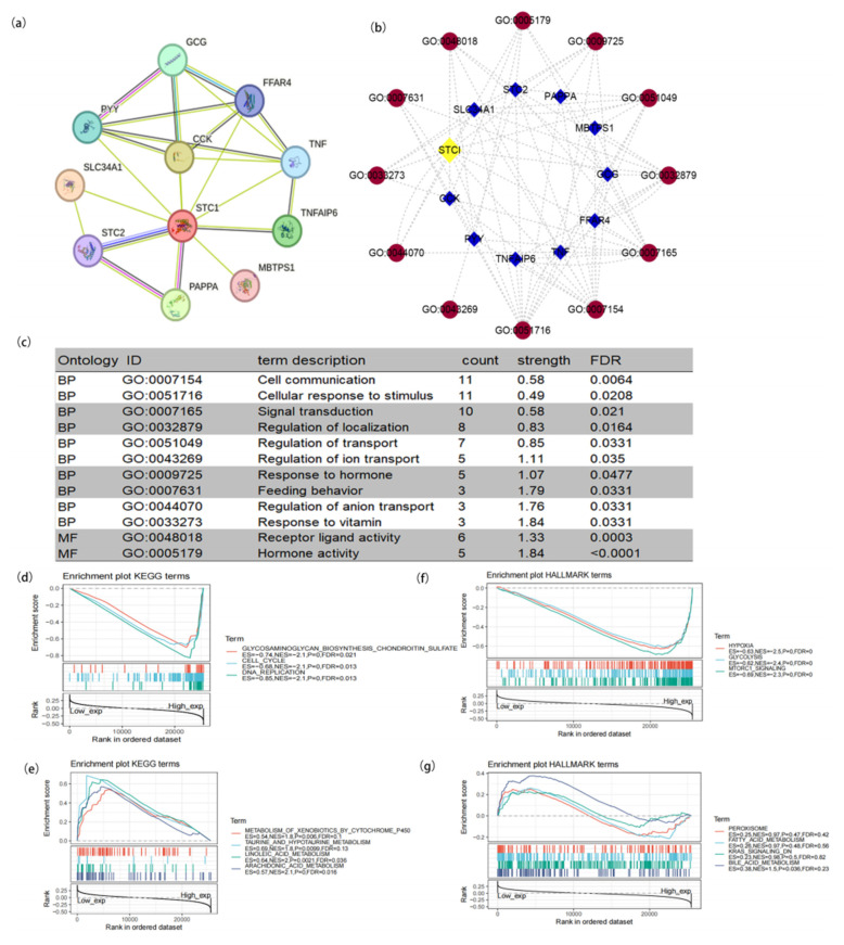 PMC11354978 – ijms-25-09085-f002