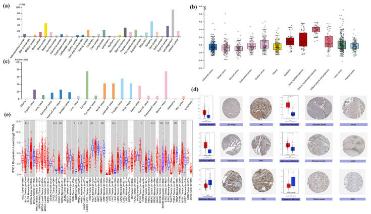 PMC11354978 – ijms-25-09085-f003