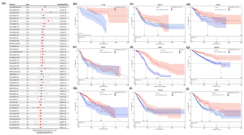 PMC11354978 – ijms-25-09085-f004
