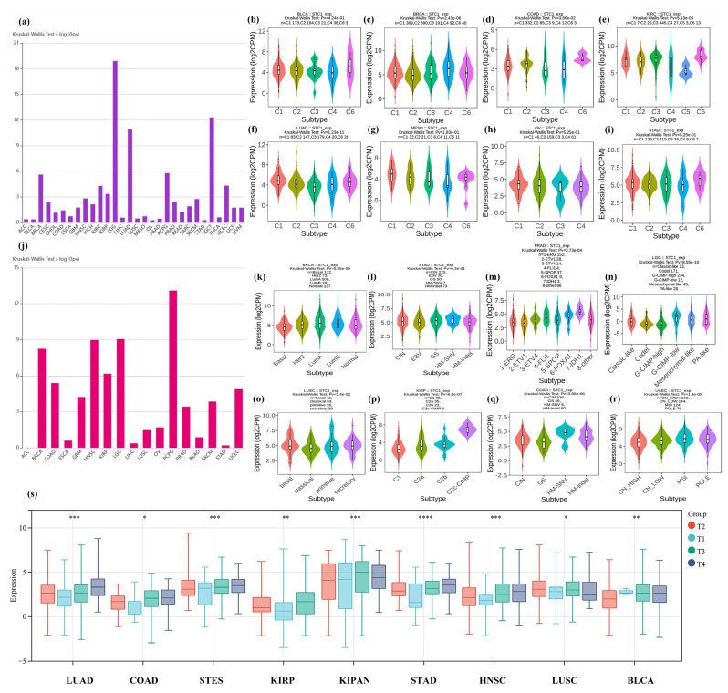PMC11354978 – ijms-25-09085-f005