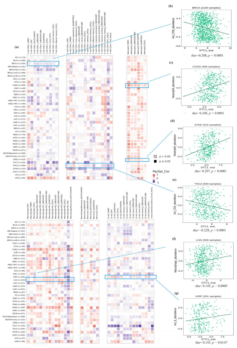 PMC11354978 – ijms-25-09085-f006