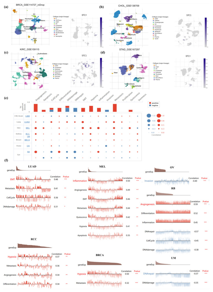 PMC11354978 – ijms-25-09085-f007