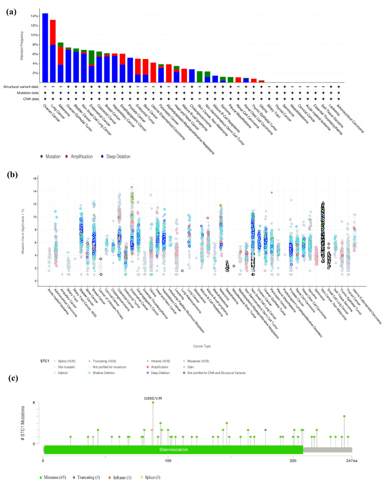 PMC11354978 – ijms-25-09085-f008